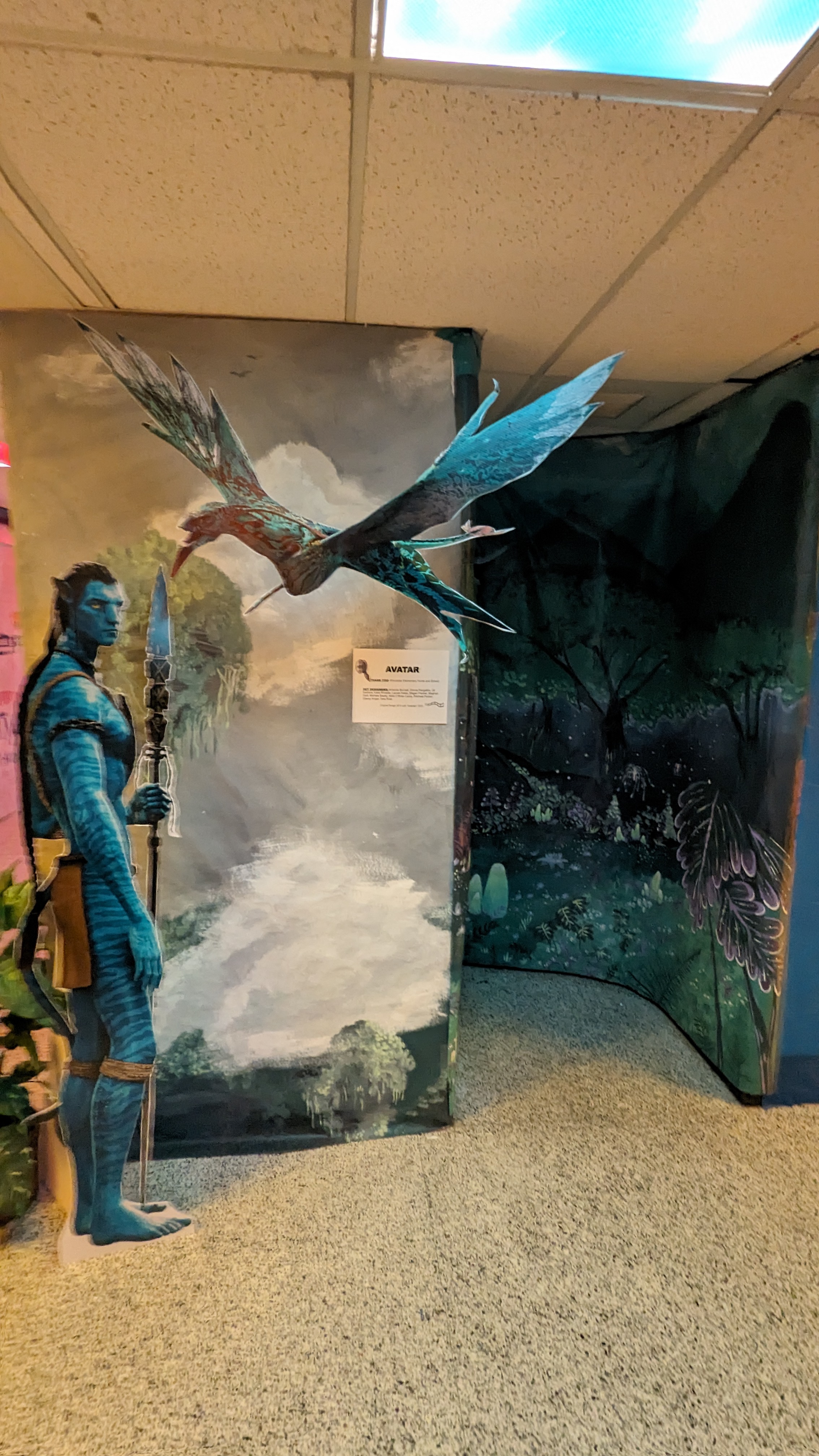 Gallery Photo