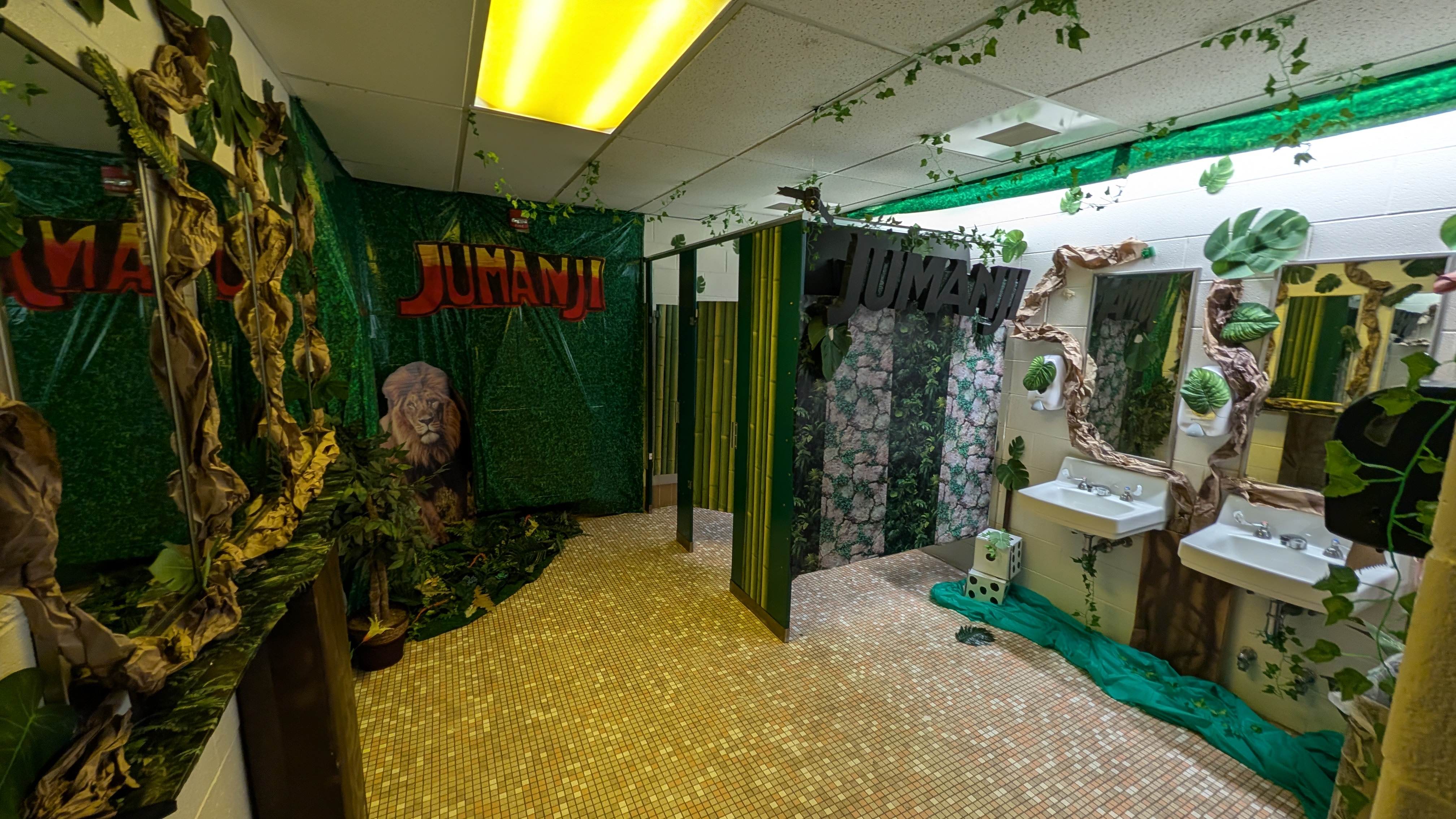 Gallery Photo